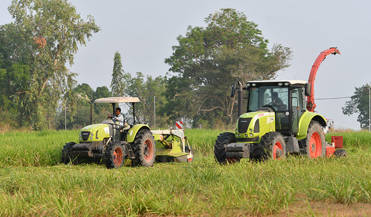 /2026/03/govt-monitors-fuel-supply-and-prices-to-protect-agriculture-52000-629764.htm